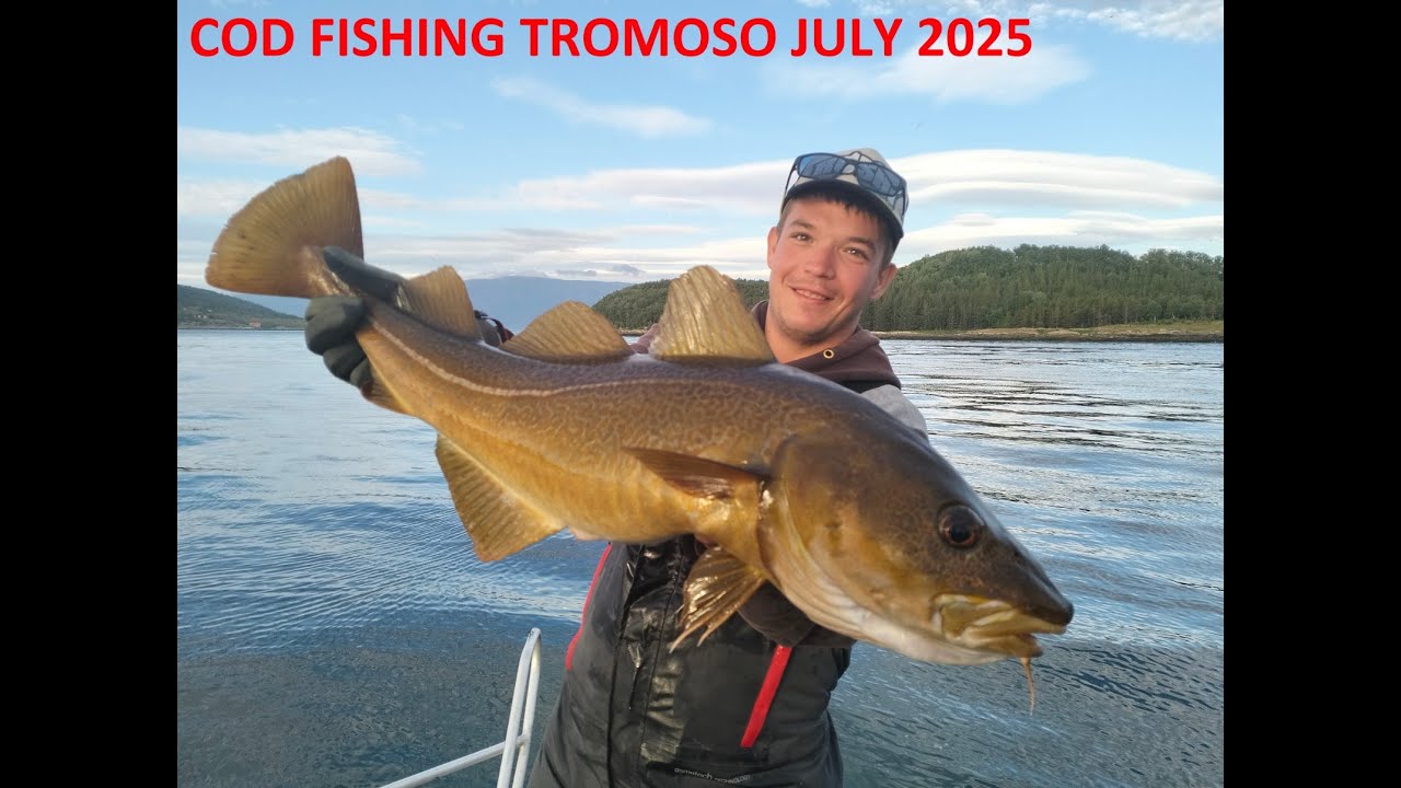 COD FISHING TROMSO (JULY 2025)