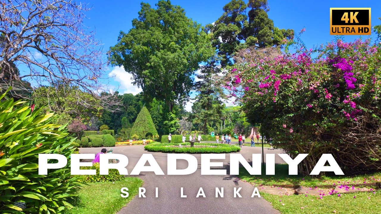Walking in Peradeniya Royal Botanical Gardens, Sri Lanka | 4K Ultra HD Virtual Tour