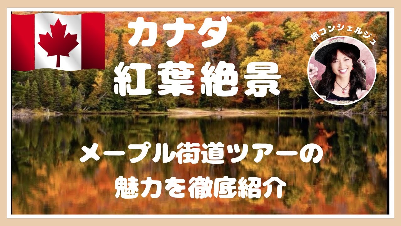 カナダ紅葉絶景🍁メープル街道ツアーの魅力を徹底紹介