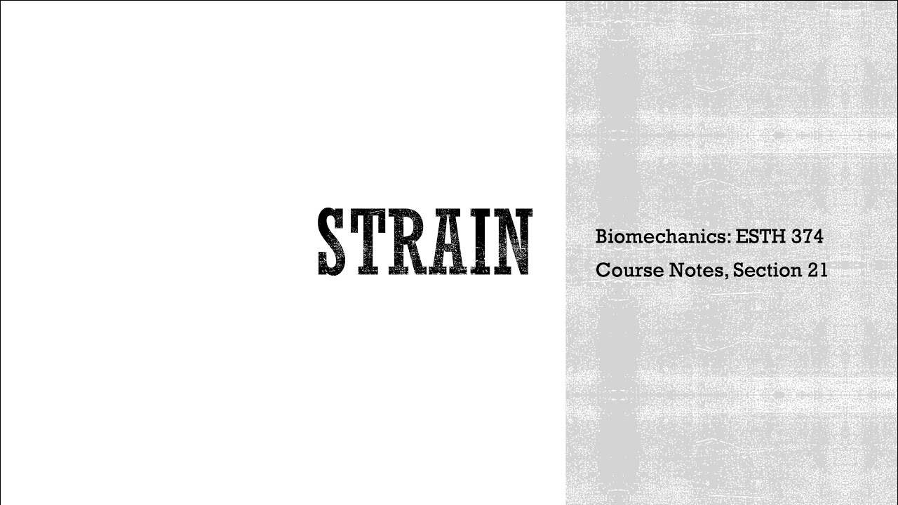 Strain - Biomechanics