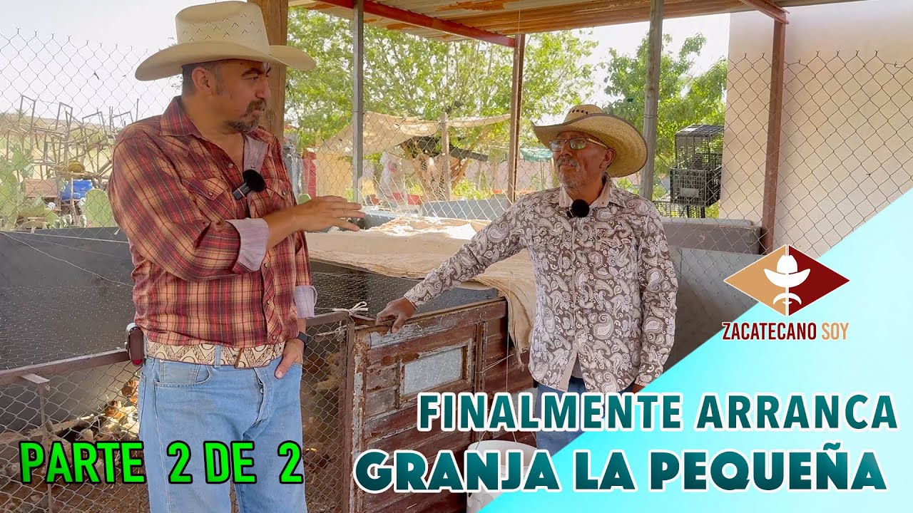 ESTÁN HERMOSAS LAS GALLINITAS valió la pena la espera