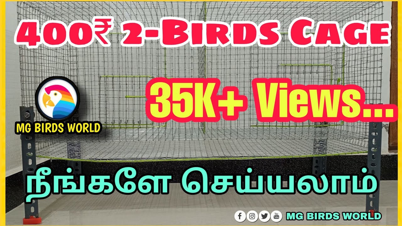 400₹ - 2 Birds Cage || 2 in 1 Customize Cage || 3K special || MG BIRDS WORLD.