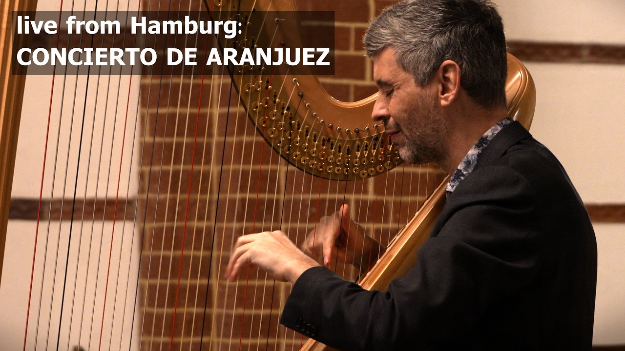 Rodrigo - Concierto de Aranjuez arr. for harp - Adagio. Josh Layne, live