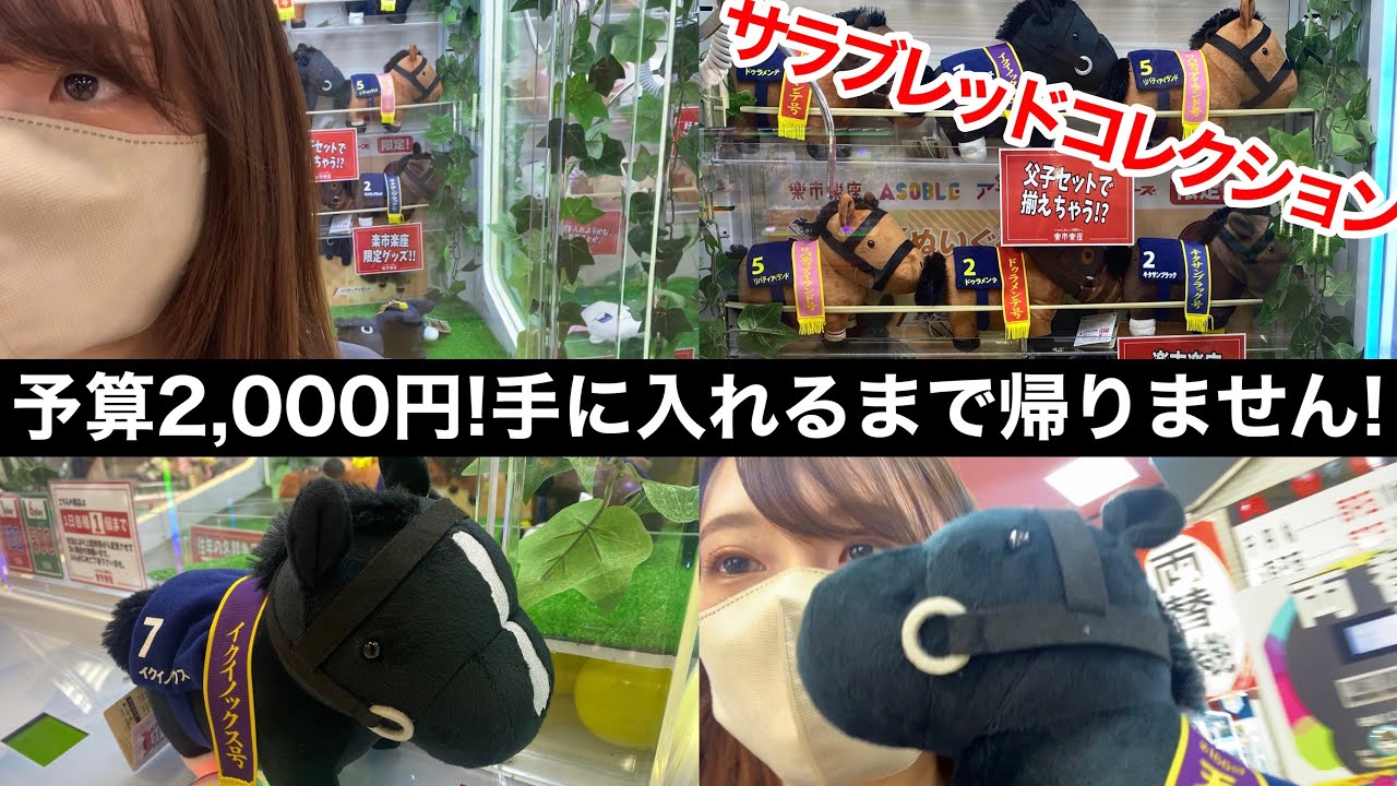 【競馬女子】クレーンゲームに挑戦！大好きなイクイノックス絶対お家に連れて帰るぞ！〜サラブレッドコレクション〜