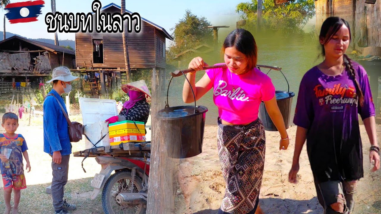 การดำรงชีวิตของผู้สาวน้อยบ้านป่าในช่วงฤดูนี้ 