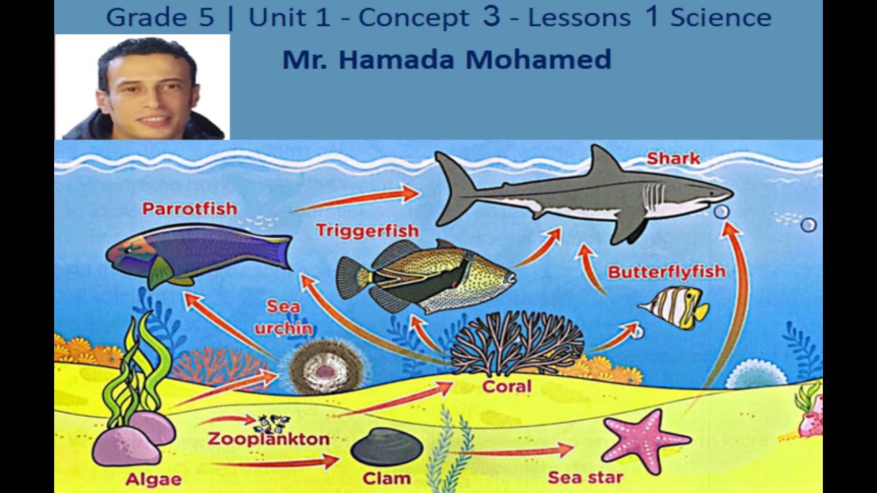 Grade 5 | Unit 1 - Concept 3 - Lesson 1 - Science -  Mr. Hamada Mohamed
