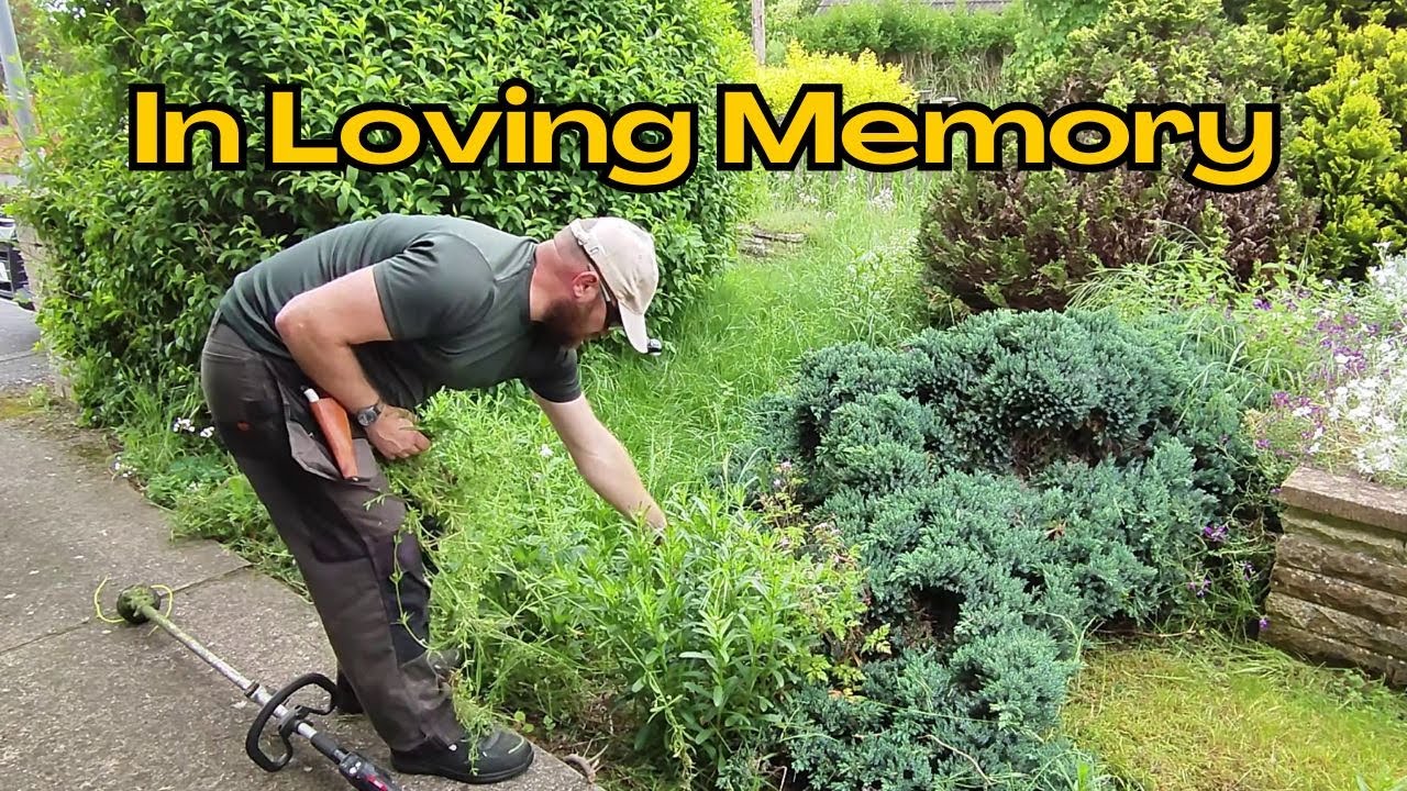 She Created An AMAZING Garden - overgrown yard transformation