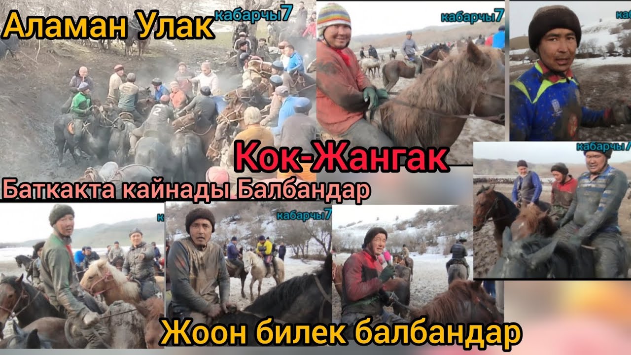 Аламан Улак Кок-Жангак