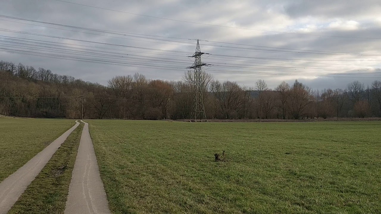 Bacon-Tours -  Enztal // Oberriexingen - Untermberg // Baden-W&uuml;rttemberg