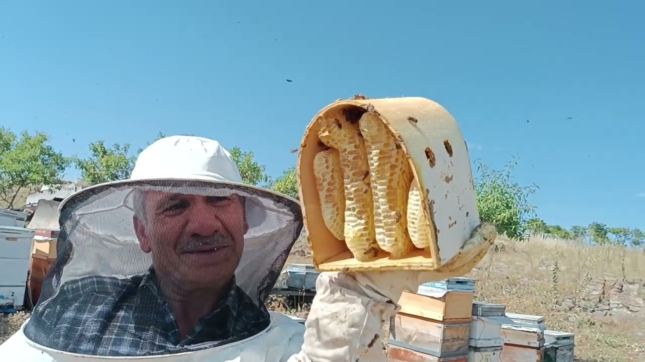 KÜTÛK 🍯 BAL İLE DOLMUŞ