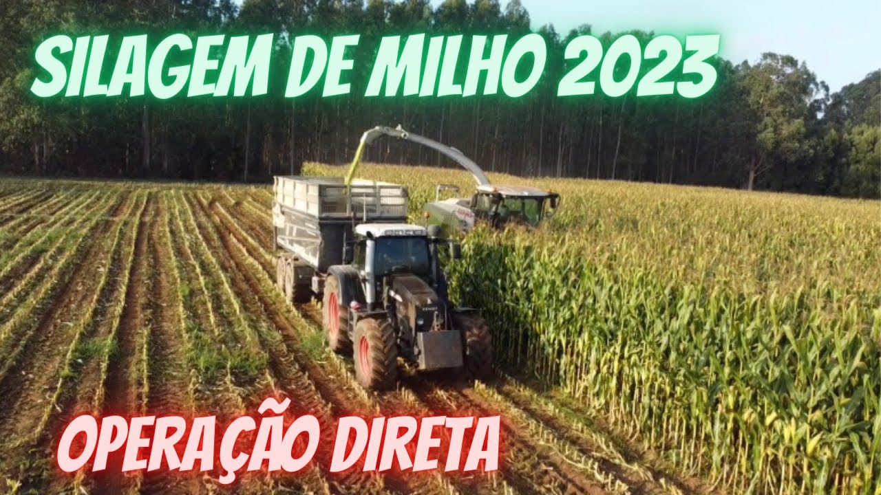 Silagem de Milho 2023 🌽/ Opera&ccedil;&atilde;o Direta/ Fendt 820 + Claas 950 🔥