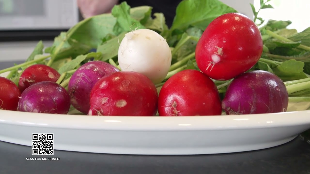 Radishes (Daytime Columbus)