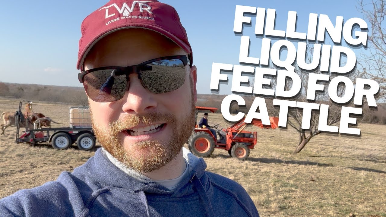 Filling Liquid Feed for Cattle