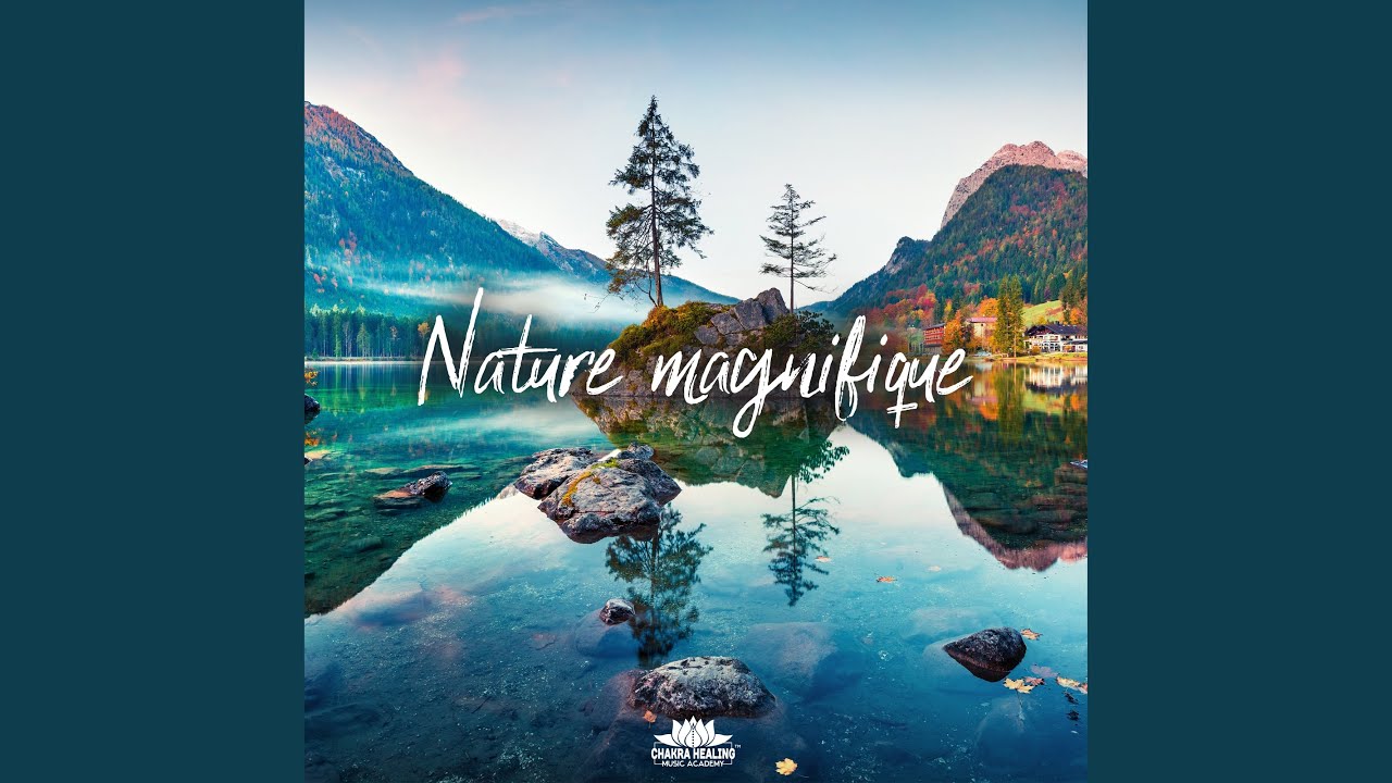 Dans la cime des arbres