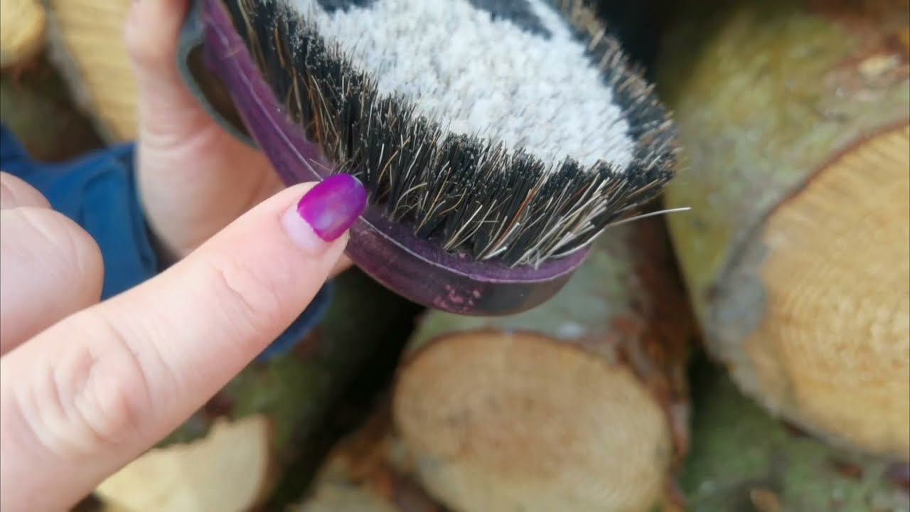 HAAS Lippizaner Brush - the best for your horses skin