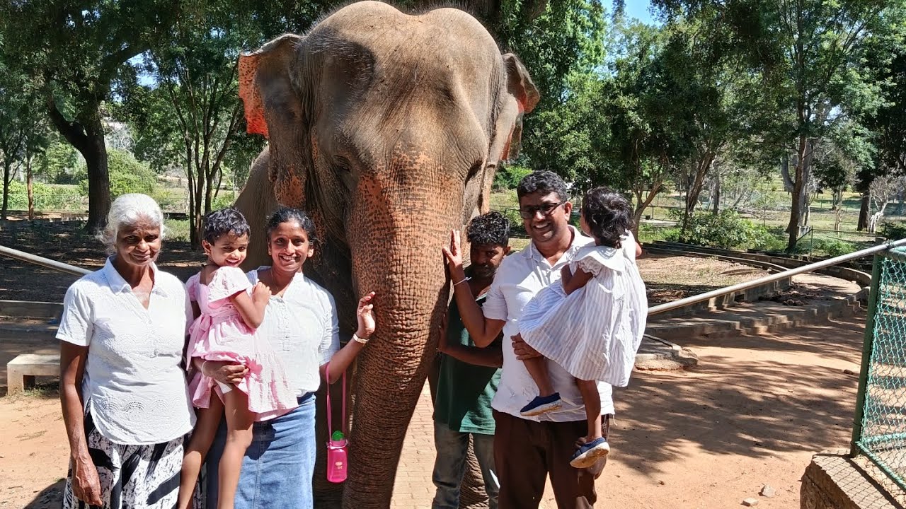 Ridiyagama Safari