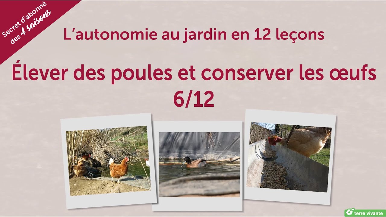 Élever des poules et conserver les oeufs : L'autonomie au jardin en 12 leçons (6/12)