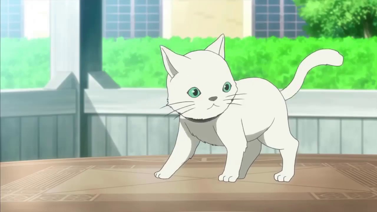 La Storia della Arcana Famiglia AMV - Mi Mi Mi