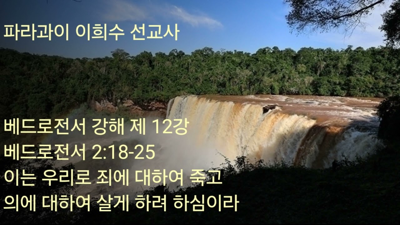 2026 02 17 제 12강 베드로전서 2 18 25 이는 우리로 죄에 대하여 죽고 의에 대하여 살게 하려
