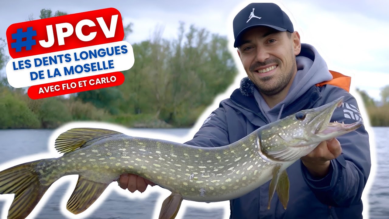 #JPCV 2 : Saucisses, trompettes... et dents longues de Moselle