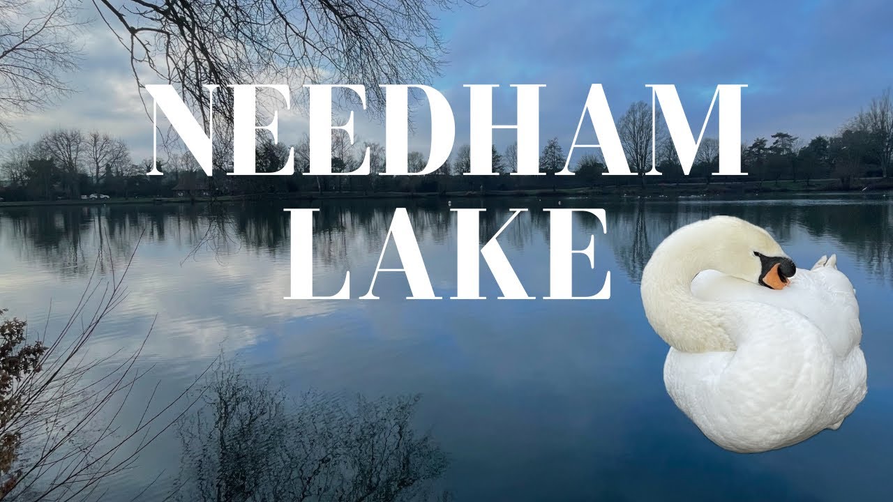 NEEDHAM LAKE WALK 4K 🚶‍♂️ POV Lakeside Walk In Suffolk