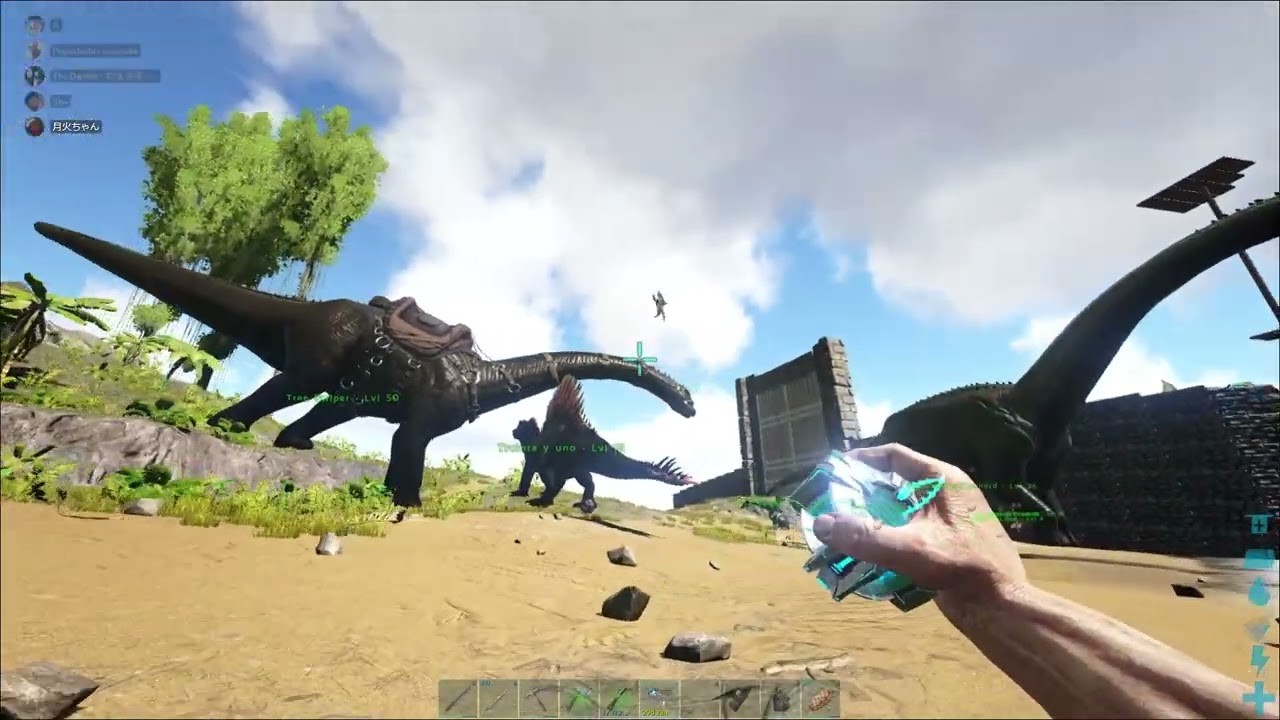ARK - Magic climbing