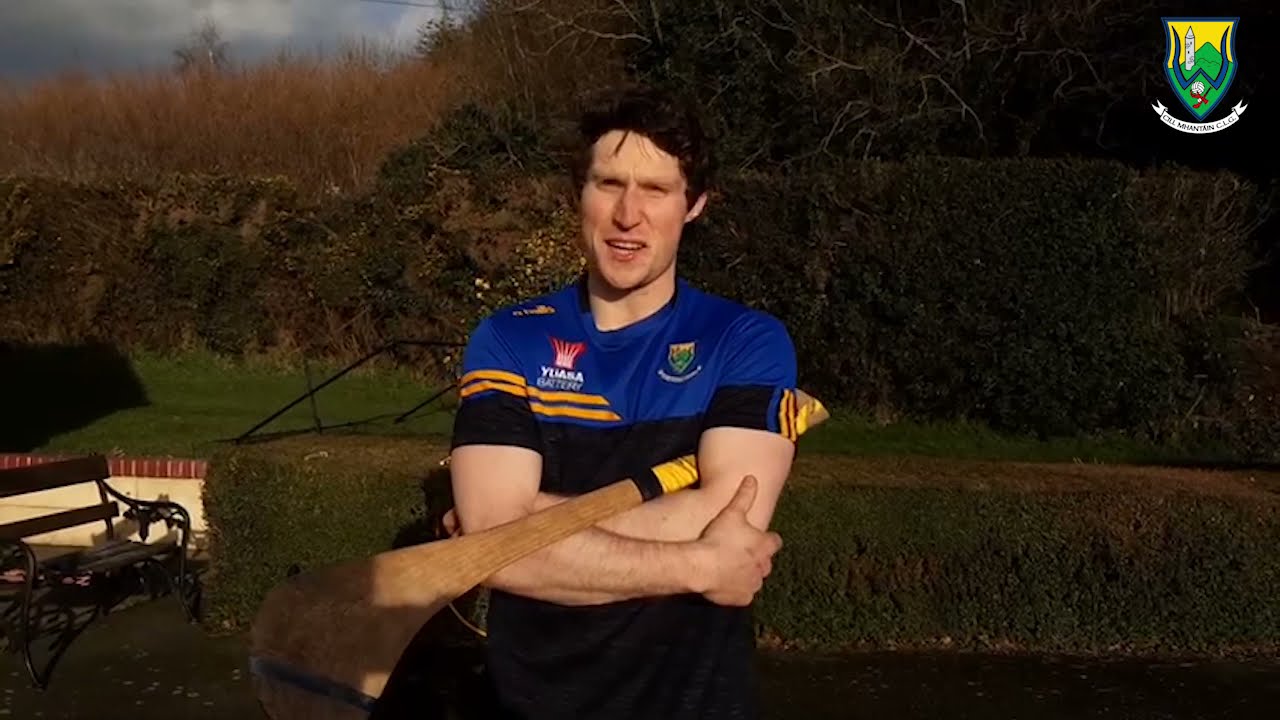Wicklow GAA Hurling Danny Staunton