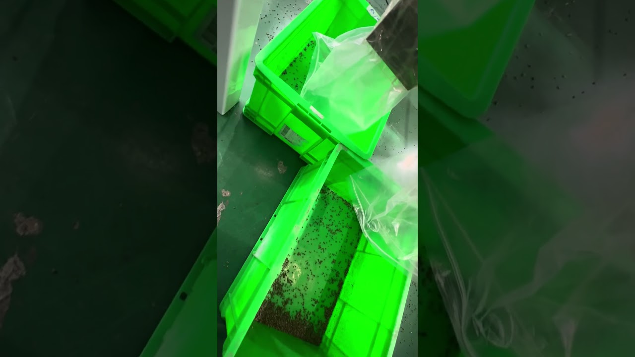 Hemp Seeds Color Sorter Machine