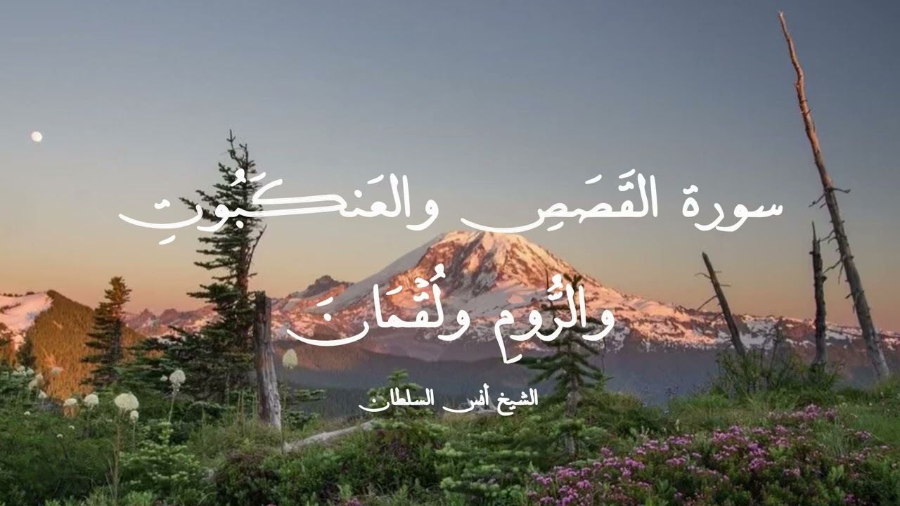 صلاة التهجد ليلة ٢٣ رمضان١٤٤٧هـ | سورة القصص ٤٤ - لقمان || الشيخ أنس السلطان 