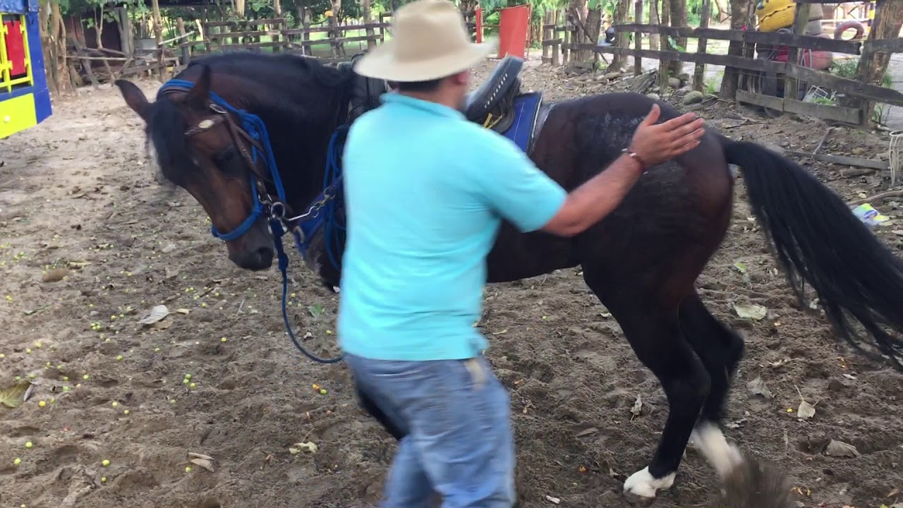 Como montar un caballo inquieto