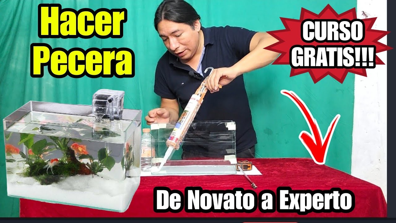 ✅️ APRENDE Hacer una PECERA | CREA UN ACUARIO FACIL 