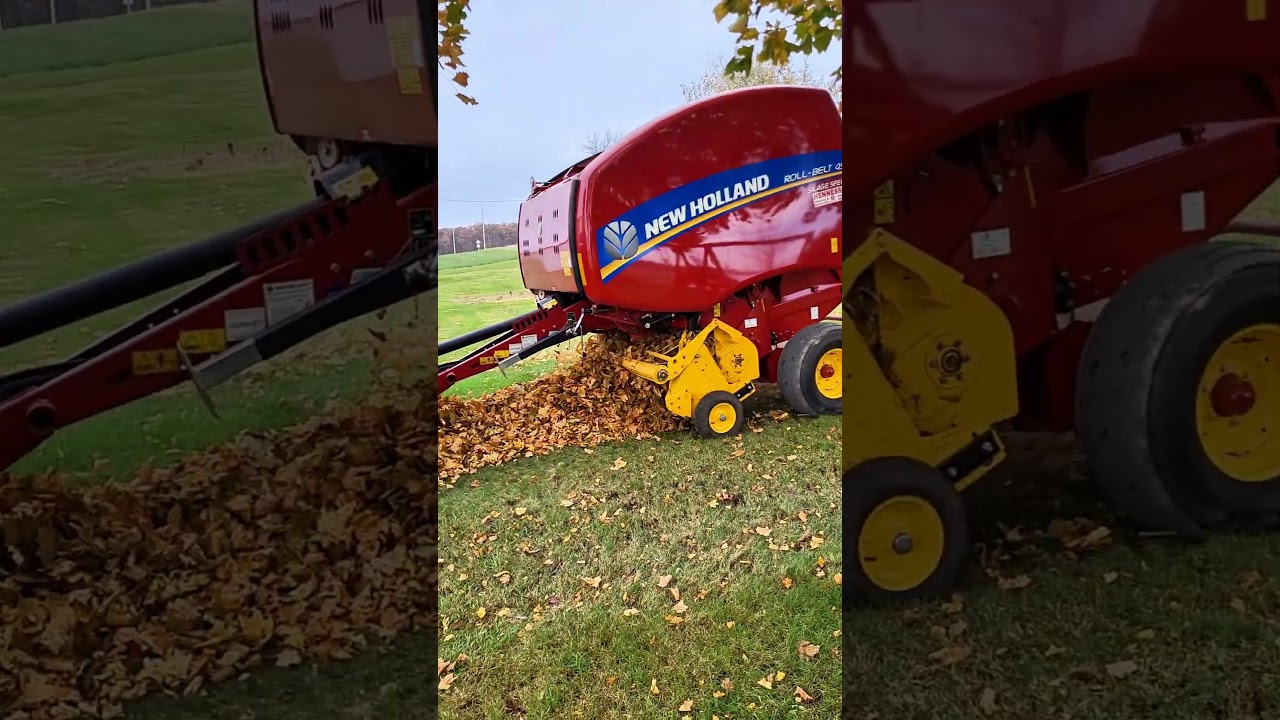 Заготавливаю тюки из листьев для жены! #фермерство #newholland #листья #ферма #фермер #сельское х...