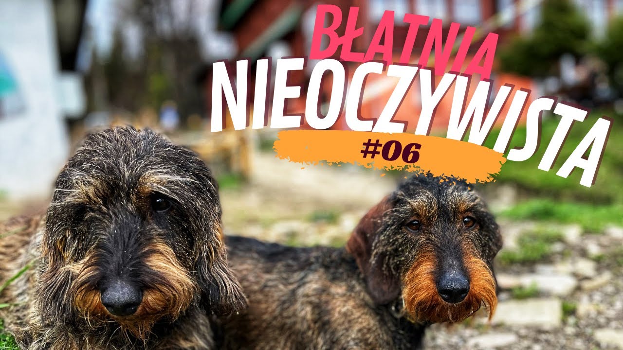 🇵🇱 #06 Błatnia nieoczywista. Mniej znane miejsca Beskidu Śląskiego. [4K]
