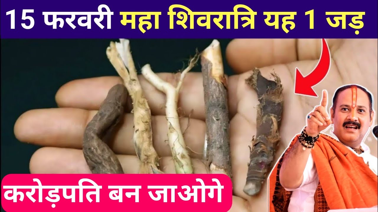 15 फरवरी महा शिवरात्रि पर चुपचाप यह 1 गुप्त जड़ ले आना होगी धन वर्षा !! Pradeep Ji Mishra 