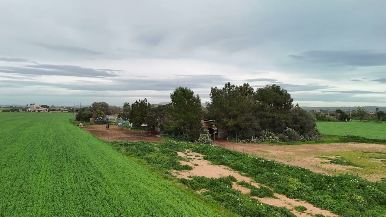 Happyranch