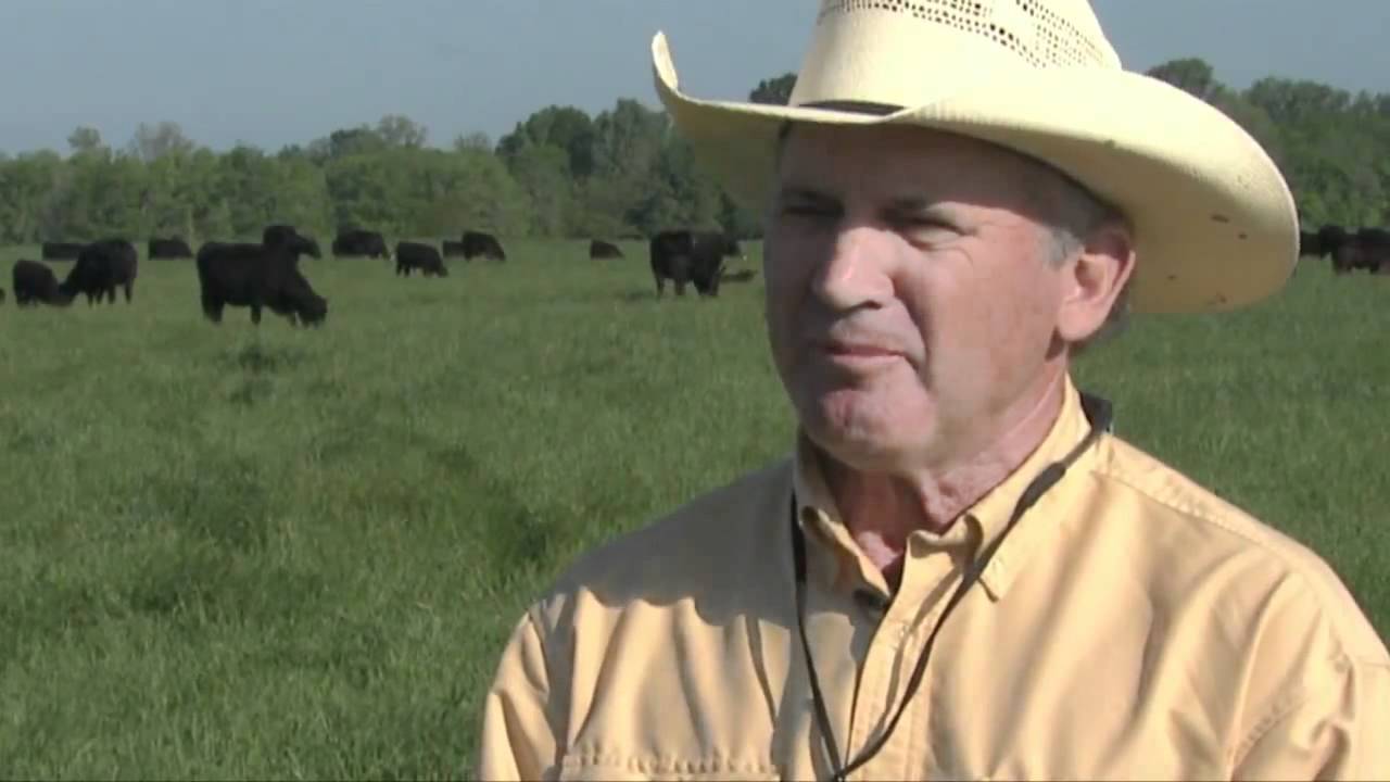 Growing Ryegrass for Forage