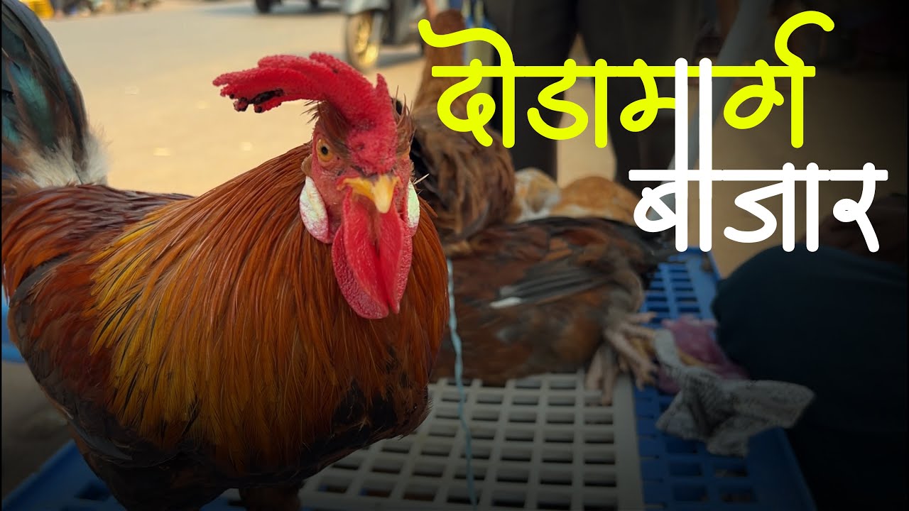 चौकात भरणारो दोडामार्ग चो बाजार