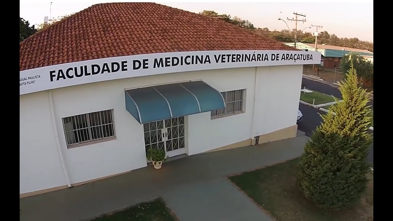 Unesp Araçatuba