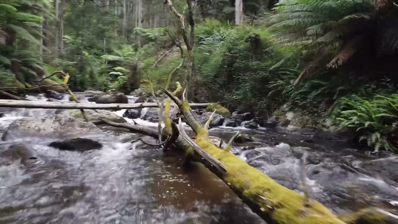 Noojee Toorongo Falls