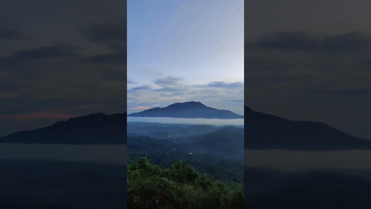 Things To Do in Wayanad | Wayanad Vlog | Places To visit in Wayanad Kerela | Wayanad 2023 | Zostel