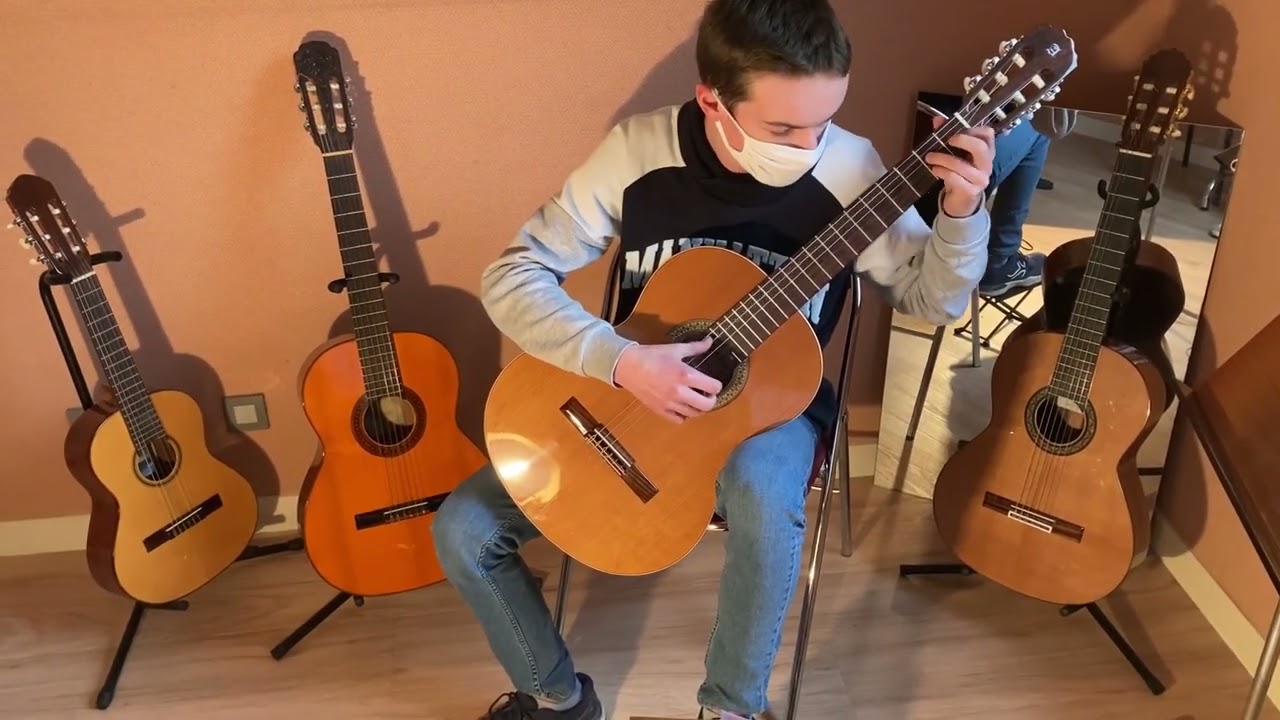 Guitare Noiseau Armand Vatin