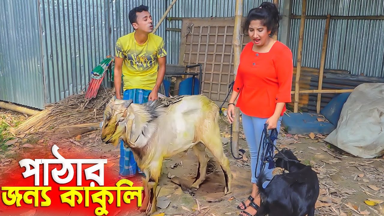 পাঠার জন্য কাকলি | ফানি ভিডিও | Funny Vedio | Funny Alomgir