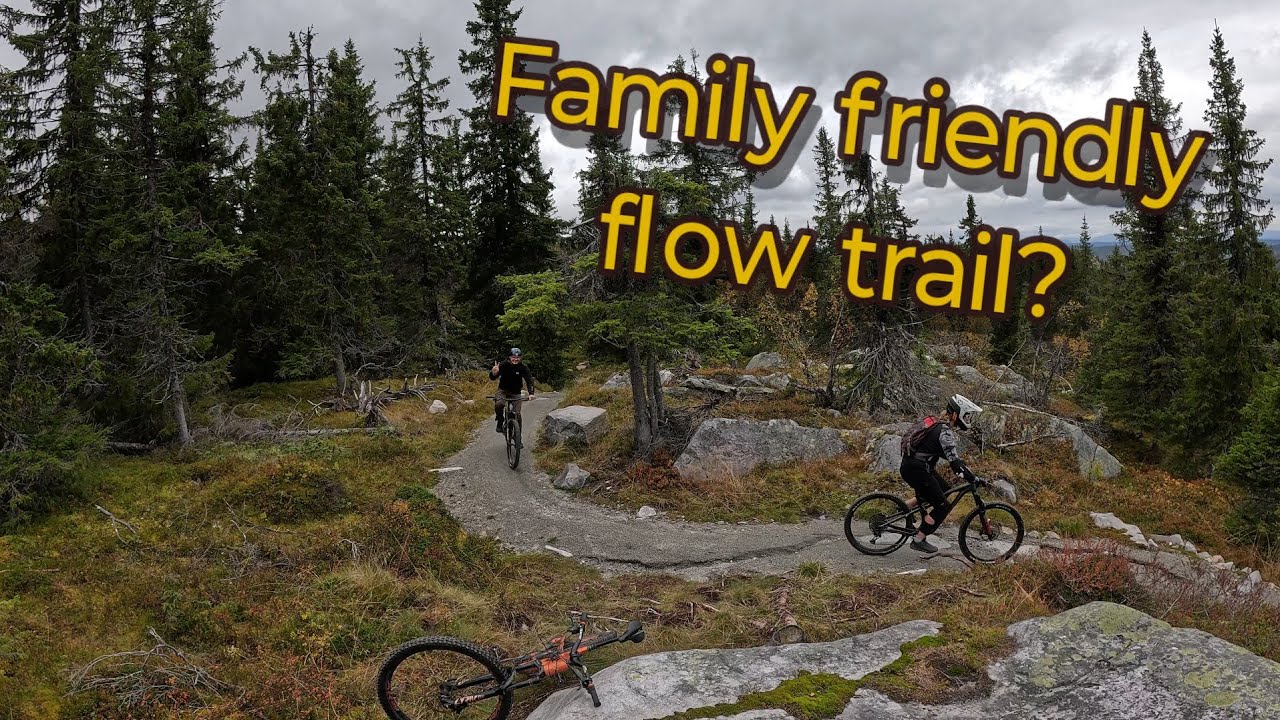 Beginner Mountain biker? Visit Hallingspranget with 17km flow trail