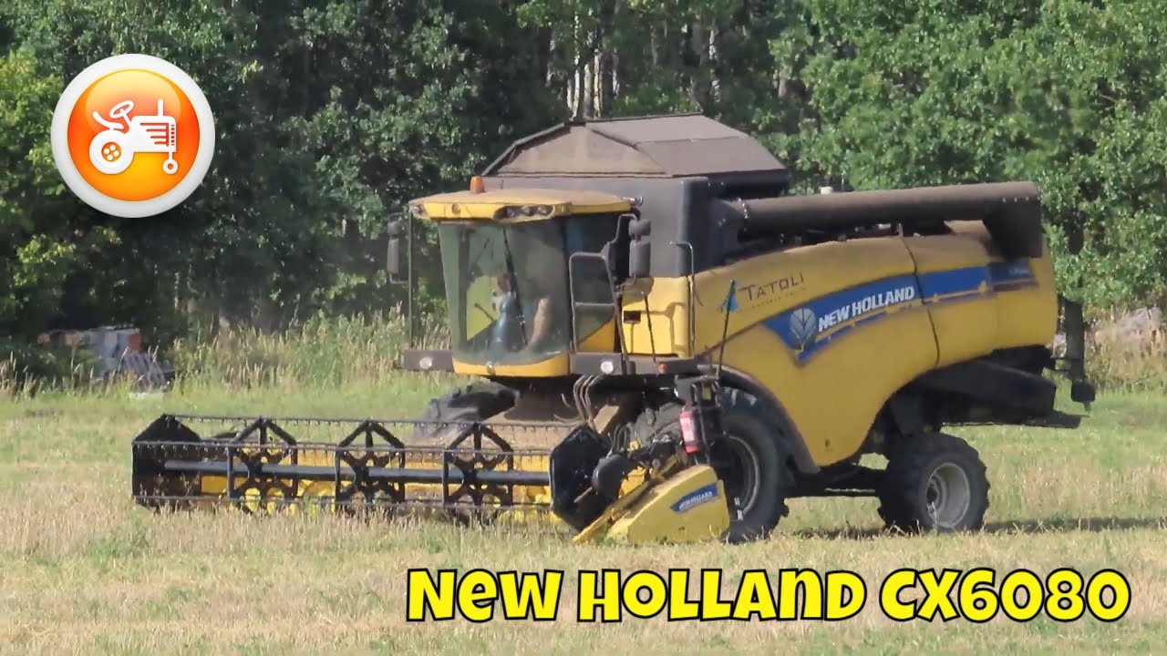 Harvest 2024 | New Holland CX6080 combine