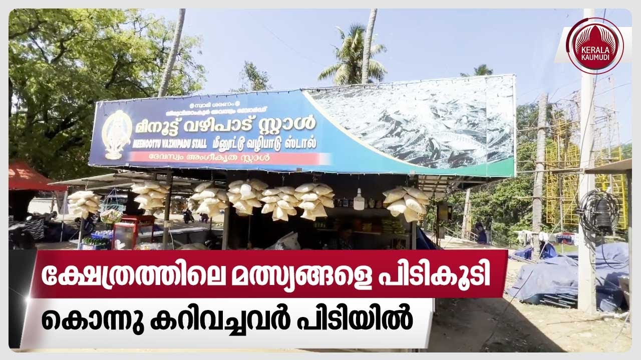 ക്ഷേത്രത്തിലെ മത്സ്യങ്ങളെ പിടികൂടി കൊന്നു കറിവച്ചവര്‍ പിടിയില്‍ | Kulathupuzha Bala Sastha Temple