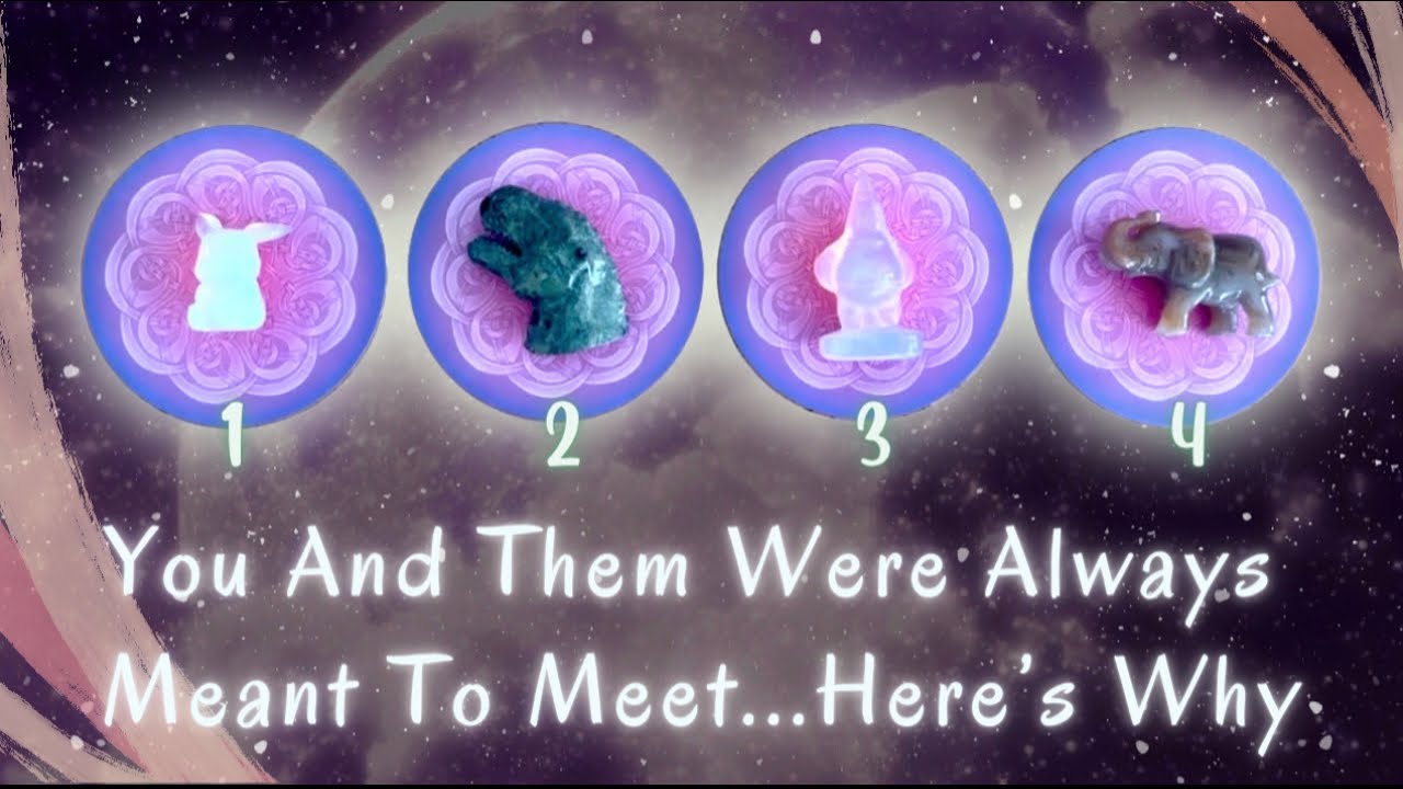 Why You Were Meant to Meet Them⚡️💝 Pick a Card🔮 Super In-Depth Timeless Tarot Reading