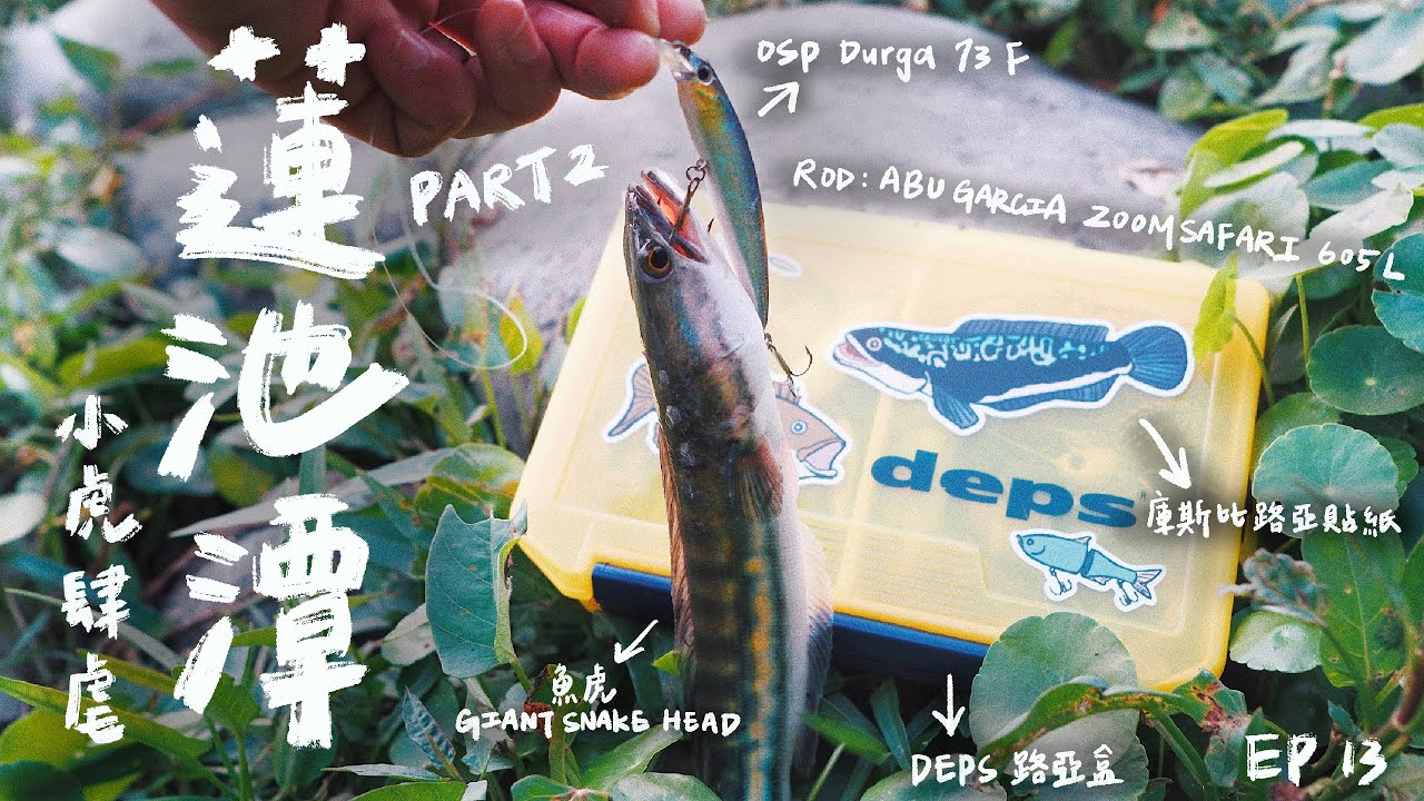 【庫斯比】第13集 蓮池潭 Part2 小虎肆虐！找對時間用對方法 觀光點也能有滿滿魚獲！