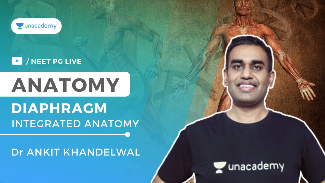 DIAPHRAGM | Integrated Anatomy | Dr Ankit Khandelwal