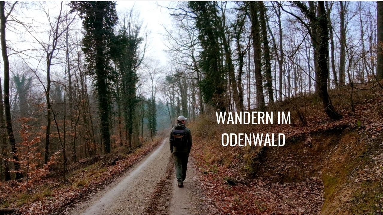 Der Odenwald - wandern für die Seele