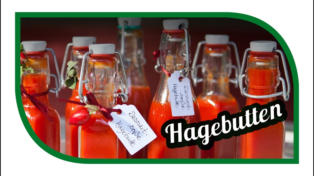 Hagebutten verarbeiten | Hagebuttenmus einmachen, einkochen